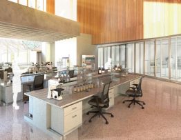 Andorra da un paso decisivo en su apuesta por la diversificación económica y la atracción de nuevos sectores con el proyecto de un centro de investigación pionero El Pyrenees Immunology Research Center (Pyirc) será uno de los pocos centros de Europa dedicado exclusivamente a la inmunología y nace con la vocación de convertirse en un referente internacional en investigación traslacional y clínica