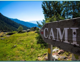 A Promotora Immobiliària Andorra Luxe Residencial la nostra prioritat és el teu benestar. Per això, si vols, els nostres projectes poden contemplar un espai wellness perquè per cuidar el teu benestar físic i mental